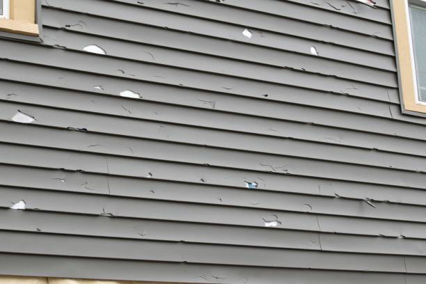 Best Siding Removal and Disposal  in San Antonio, TX