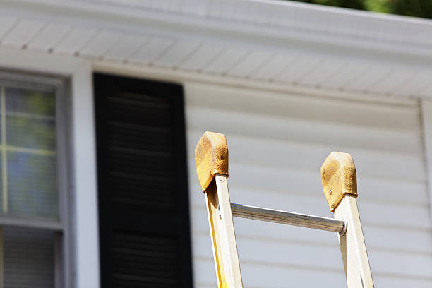 Best Siding Painting and Refinishing  in San Antonio, TX