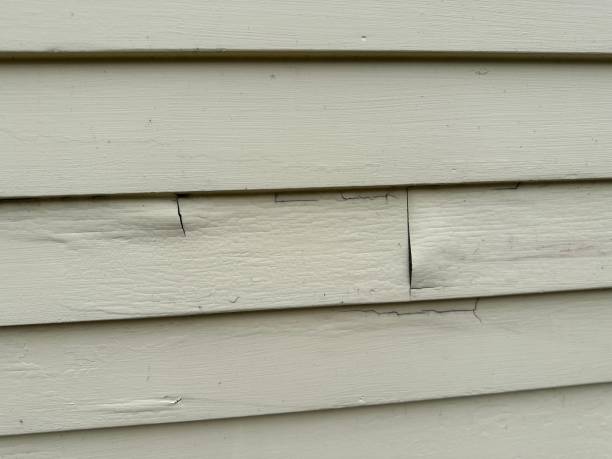 Best Wood Siding Installation  in San Antonio, TX